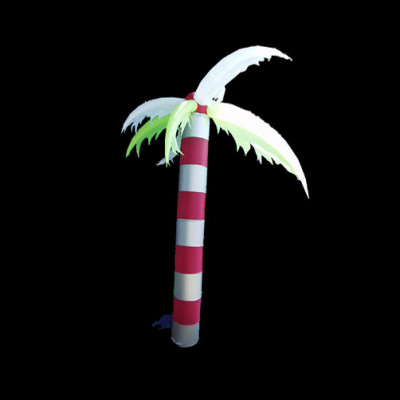 palmtree